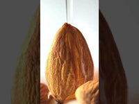 Body Cream 200ml - Body Cream